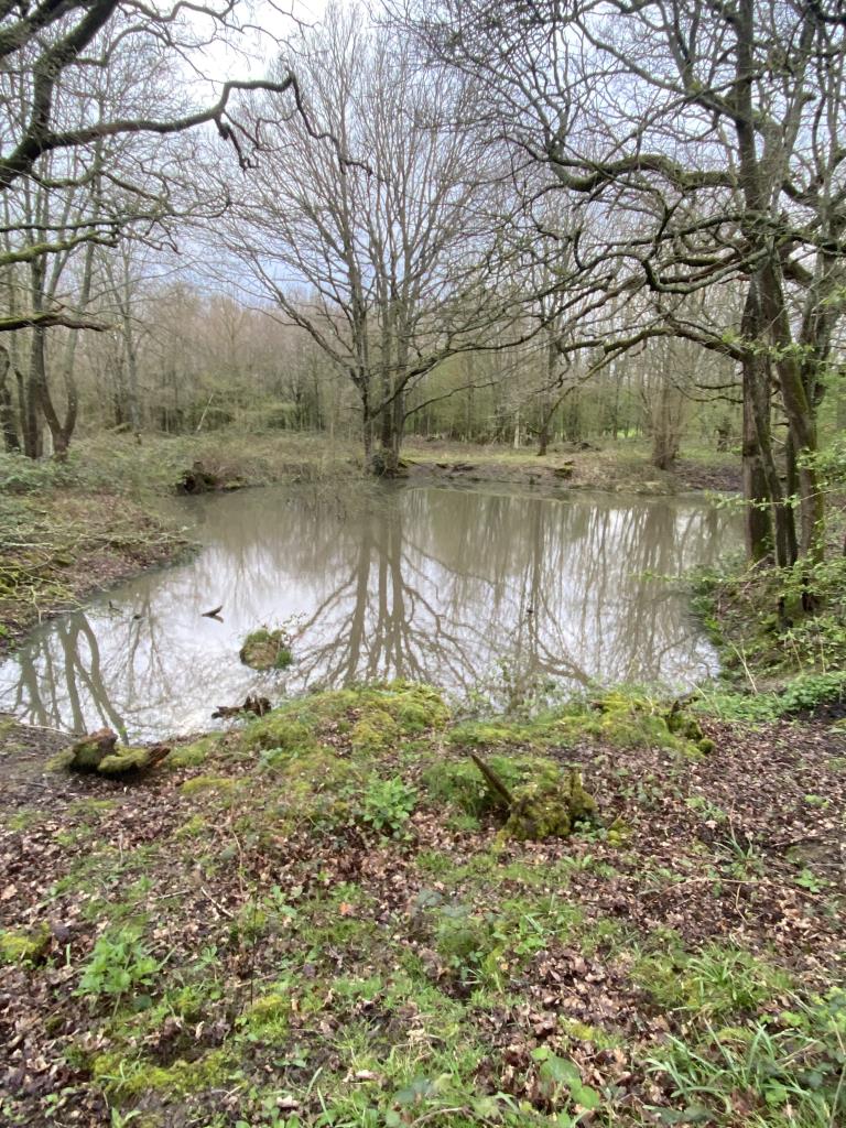 Lot: 89 - FREEHOLD LAND - Pond